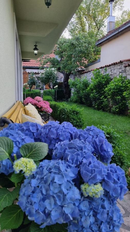 Apartman L&M Cetinje Kültér fotó